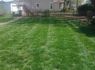 Cleanups by Julio Almestica for Jonathan S. in Independence, MO