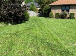 Emily S.'s Lawn Care service result