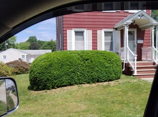 Cleanups by Michael Guardino for James L. in Stratford, CT