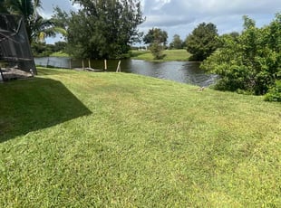 Kelvin M.'s Lawn Mowing service result