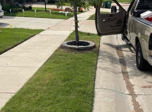 Edric M.'s Landscaping service result