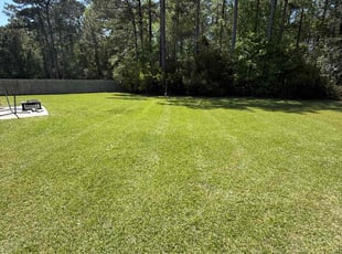 Michelle P.'s Lawn Care service result