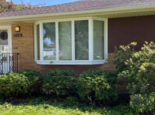 Bush Trimming by Connor Doyle for Andrew S. in Saint Paul, MN