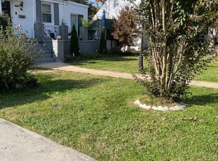 Leaf Removal by Khalim Yularnis for Lysa O. in Falls Church, VA