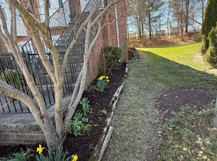 Landscaping by Samuel Jordon for Jack E. in Columbia, MD