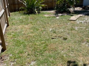 Leaf Removal by Kevis Shephard for Devin P. in Tampa, FL
