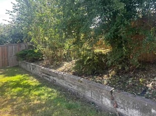 Eric W.'s Bush Trimming service result