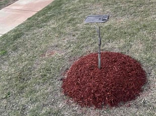 Mulching by Robert Nichols for Karen D. in Athens, AL