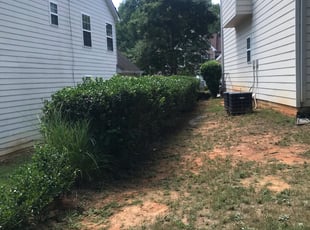 Bush Trimming by David Smith for Simone S. in Atlanta, GA