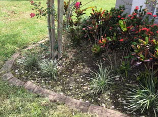 Weeding by Genet Rena for Terry L. in Orlando, FL