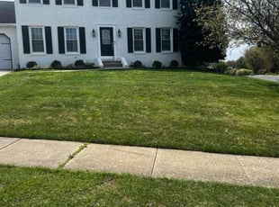 Jason P.'s Yard Cutting service result