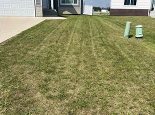 Anissa D.'s Lawn Care service result