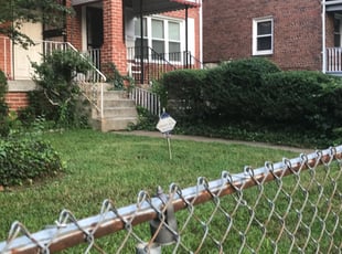 Bush Trimming by Kamonta Hackey for Ellen N. in Washington, DC