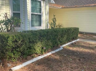 Bush Trimming by Eduardo Santoyo for Melissa R. in Houston, TX