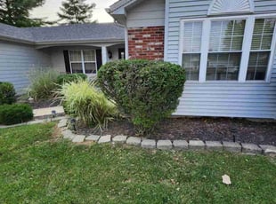 Bush Trimming by Ramiro Vicente for Drew E. in Saint Charles, MO