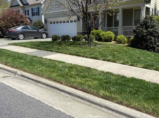 Nancy I.'s Grass Cutting service result