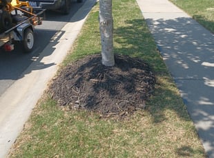 Mulching by Javaris Ervin for Holly H. in Concord, NC