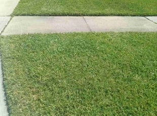Nisly J.'s Lawn Care service result