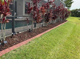 Weeding by John Fappiano for Tom S. in Zephyrhills, FL