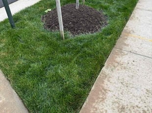 Mulching by Porfirio Jimenez for James S. in Manassas, VA