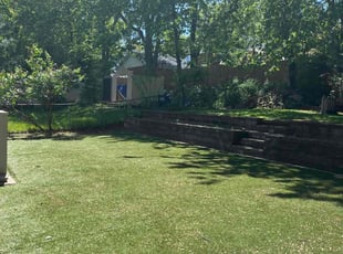 Leaf Removal by Anthony Cosenzo for Vanessa W. in West Orange, NJ