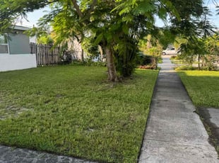 Vanessa T.'s Grass Cutting service result