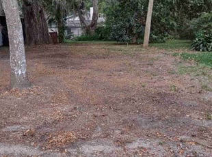 Leaf Removal by Wallace Trowell for Stephen D. in Bartow, FL