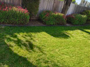 Jeff S.'s Grass Cutting service result