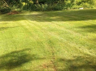 Jean S.'s Lawn Service service result