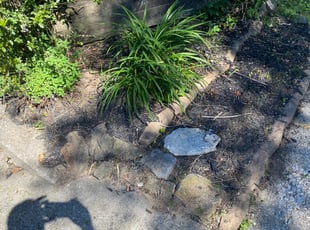 Weeding by Wesley Souders for Christian G. in Towson, MD