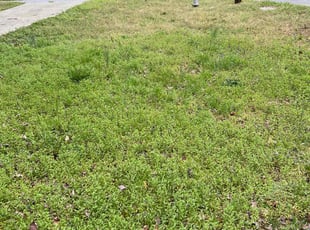 Cleanups by Natasha Gilliam for Jacqueline L. in Jonesboro, GA