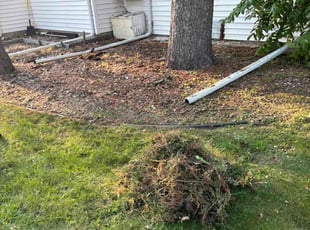 Weeding by Jewel Smith for Erin B. in Saint Paul, MN