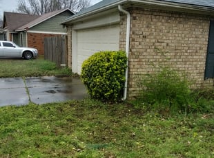 Bush Trimming by Ashley McCarty for ((CANCELLED)) Bryan B. in Memphis, TN