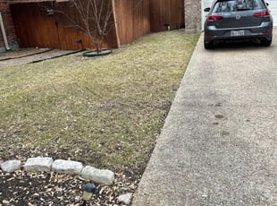 Leaf Removal by Adel Baker for Scott L. in San Antonio, TX