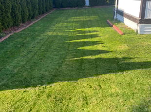 Pam P.'s Lawn Service service result