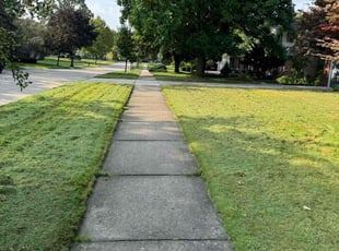 Josh M.'s Lawn Service service result