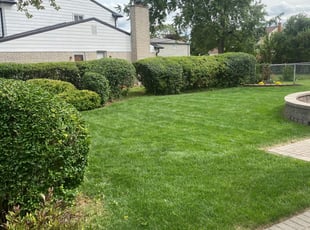 Bush Trimming by Raymond Pool for Larry H. in Southfield, MI