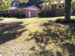 Leaf Removal by Carlos Carrera for Tracie F. in Charlotte, NC