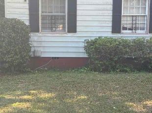 Bush Trimming by Henry Arkwright for Maria E. in Savannah, GA