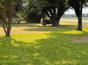 Madison W.'s Lawn Mowing Service service result