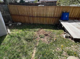 Cleanups by David Williams for Matthew J. in Lakewood, CO