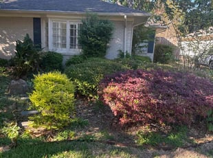 Bush Trimming by Elston Diaz for Neil C. in Dallas, TX