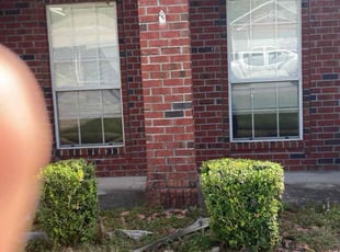 Bush Trimming by Travis Frederickson for Justin G. in Cantonment, FL
