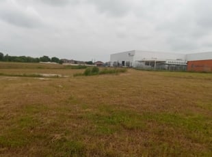 Cleanups by Michael Farmer for Ferris W. in Ferris, TX