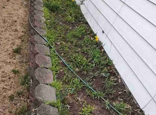 Weeding by Allan Roberts for John K. in Alexandria, VA