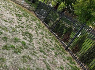 Leaf Removal by Caleb Bradley for Andrew R. in Wichita, KS