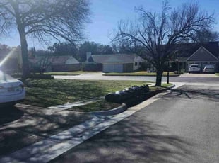 Leaf Removal by Ricardo Soto for Natasha m. in Euless, TX