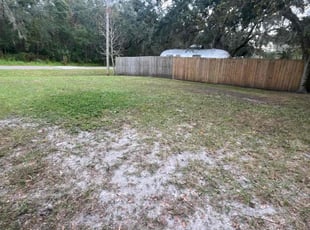 Leaf Removal by Ramon Taguja for Karen A. in Brandon, FL