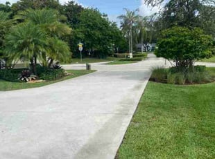 Shmetrius C.'s Bush Trimming service result