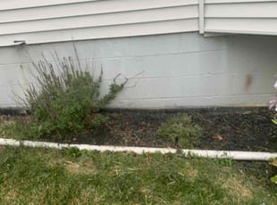 Weeding by B.J. Schuetz for Elaine w. in New Albany, OH